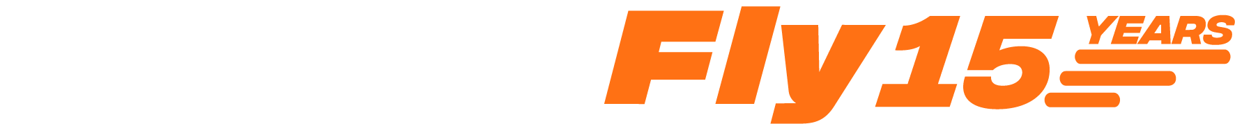Virtual Fly